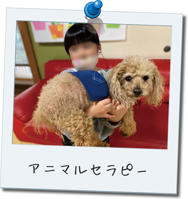 アニマルセラピー